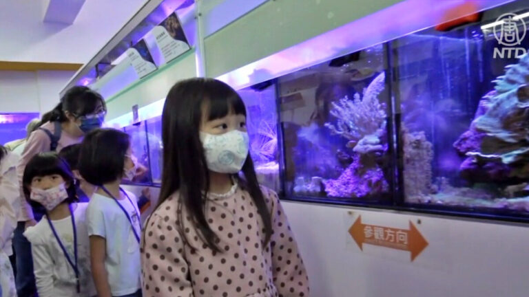 台灣科學節海洋教育 親子體驗一日飼育員