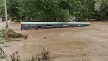 印度南部遭遇连续多日暴雨 至少17人遇难