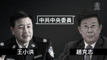 中共公安部调整 赵克志被免党书记职务