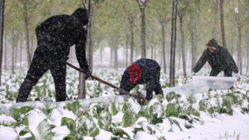 寒潮横扫中国 多省紧急通知：停课！停运！停航！