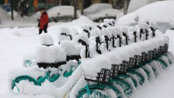 沈阳现罕见“雷打雪” 冻雨暴雪致多处建筑坍塌