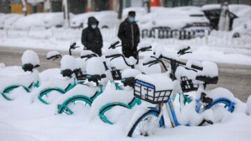 中国北方暴雪成灾 辽宁冻死640万禽畜