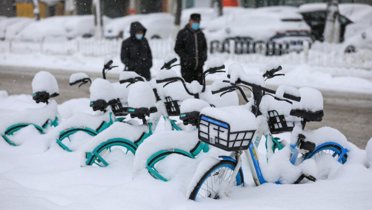 【中國一分鐘】中國北方70年最大暴雪成災 遼寧凍死640萬禽畜