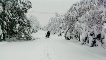 疫情未去寒潮又來 北京等多地有大到暴雪