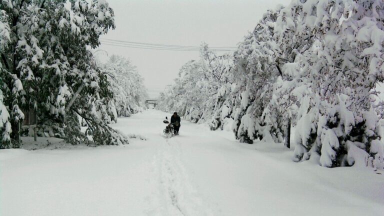 疫情未去寒潮又來 北京等多地有大到暴雪