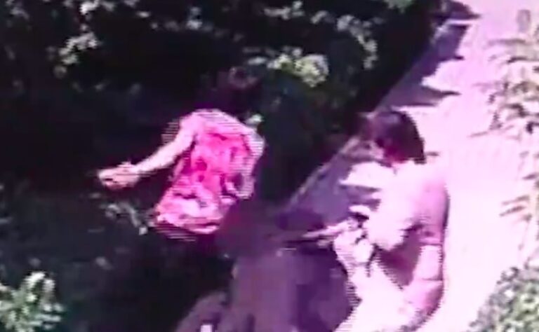 河南「狗咬老人」事件 狗主人王新剛被撤職