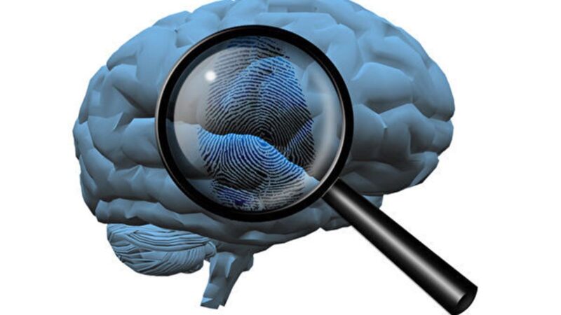 研究發現大腦指紋可及早偵測阿茲海默症