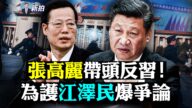 【拍案惊奇】张高丽带头反习 为护江泽民爆争论