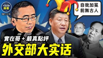 【严真点评&外交部大实话】习开六中全会给自己加冕