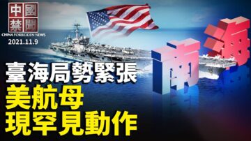 【中国禁闻】11月9日完整版