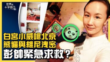 【十字路口】彭帅紧急求救 功夫熊猫与维尼泄机密？