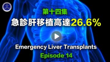 【鐵證如山系列講座14】急診肝移植高達26.6%