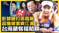 【十字路口】張高麗爆醜聞 六中全會習近平撿到槍？