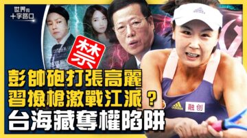 【十字路口】張高麗爆醜聞 六中全會習近平撿到槍？