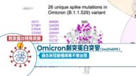 Omicron具感冒病毒序列 免疫逃脱、症状速看