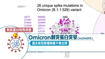 Omicron具感冒病毒序列 免疫逃脫、症狀速看