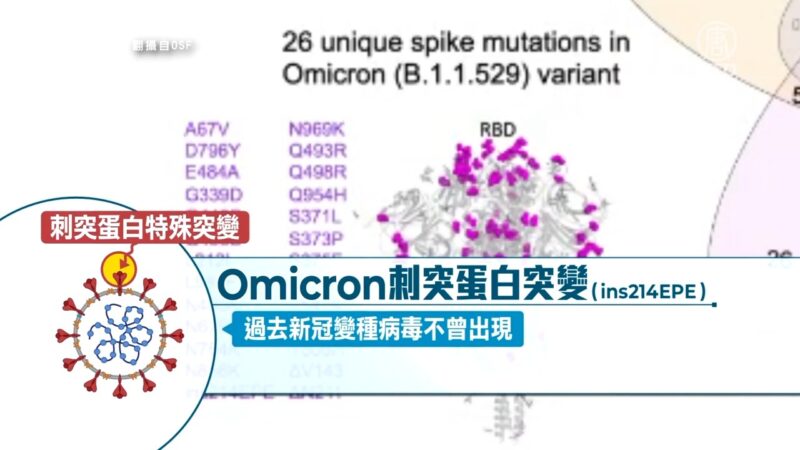 Omicron具感冒病毒序列 免疫逃脫、症狀速看