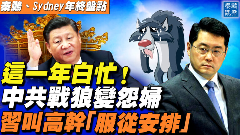【秦鵬直播】忙碌一年空歡喜 中共外交從戰狼變怨婦