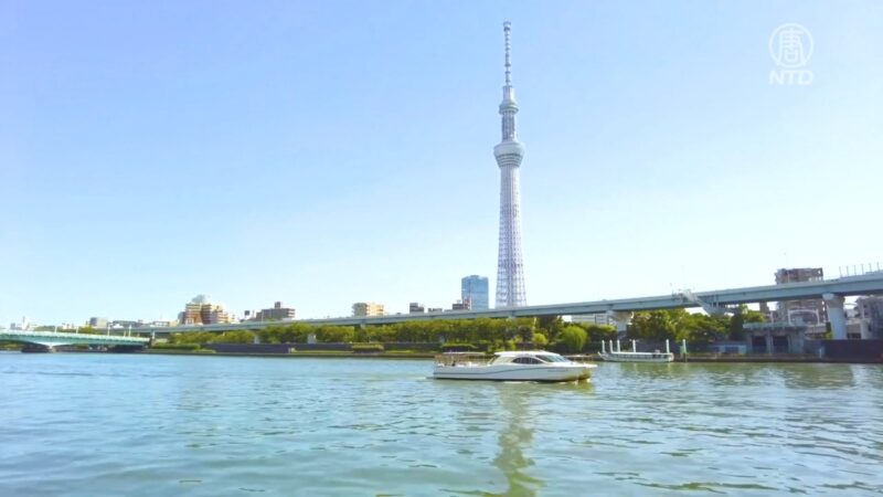 虎年賀片展 東京晴空塔開運招福迎新年