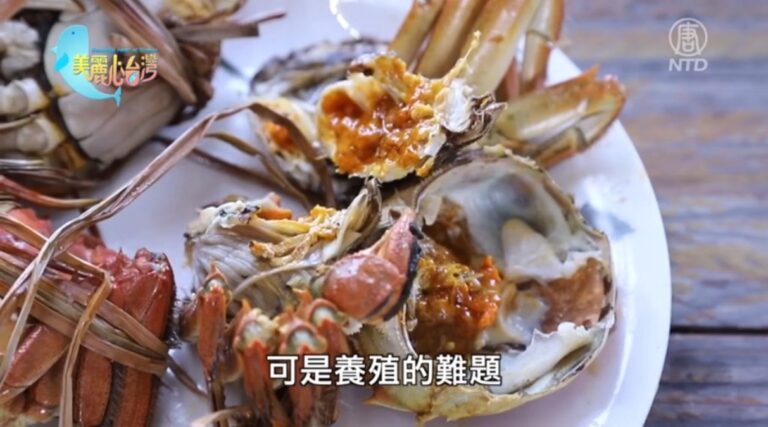 美麗心台灣：生態養殖 營造大閘蟹與泰國蝦的綠世界