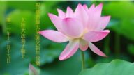 北京法輪功學員恭祝李洪志大師新年好(21條)