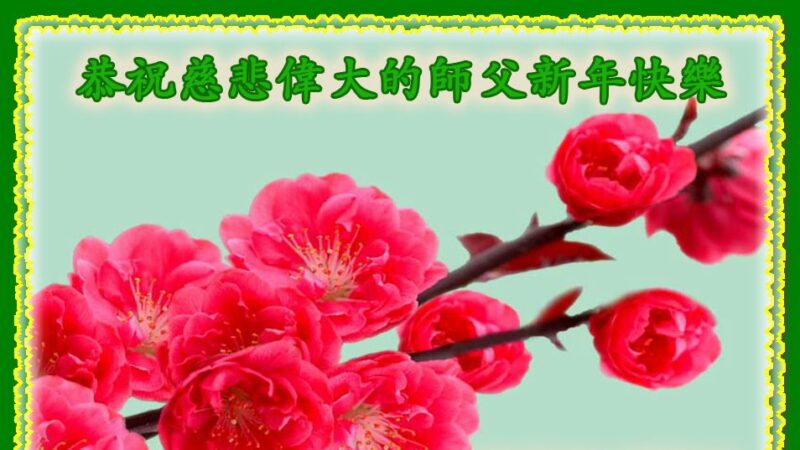 长春法轮功学员恭祝李洪志大师新年好(19条)