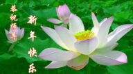 北京法輪功學員恭祝李洪志大師新年好(22條)