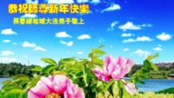 長春法輪功學員恭祝李洪志大師新年好(23條)
