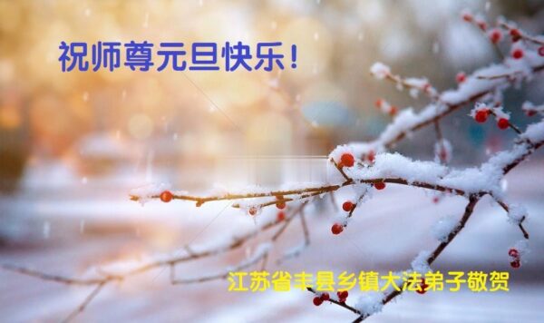 乡村法轮功学员恭祝李洪志大师新年好(23条)