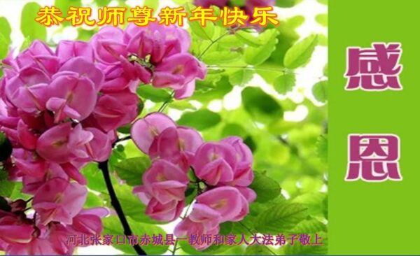 教育系统法轮功学员恭祝李洪志大师新年好(22条)