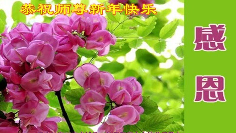 教育系统法轮功学员恭祝李洪志大师新年好(22条)