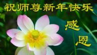 鄉村法輪功學員恭祝李洪志大師新年好(22條)