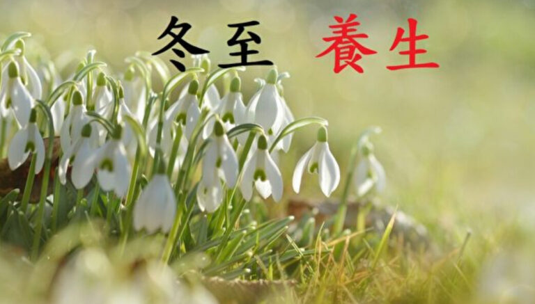 順陰陽五行之道 冬至過後怎麼養生怎麼吃？