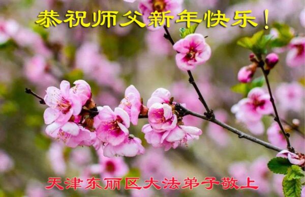 天津法輪功學員恭祝李洪志大師新年好(23條)