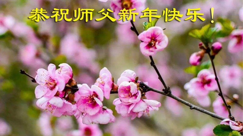 天津法轮功学员恭祝李洪志大师新年好(23条)
