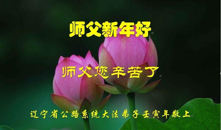 各行业法轮功学员恭祝李洪志大师新年好(30条)