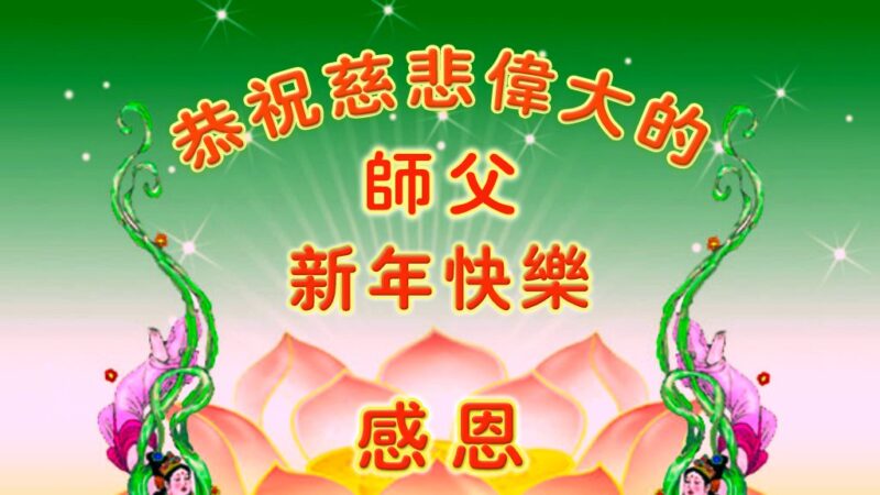各行业法轮功学员恭祝李洪志大师新年好(27条)