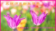 乡村法轮功学员恭祝李洪志大师新年好(27条)