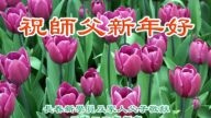新学员恭祝李洪志大师新年好(23条)