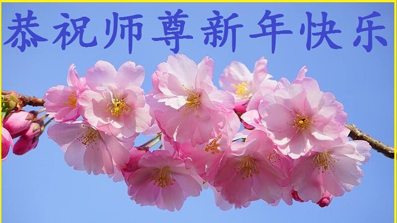 鄉村法輪功學員恭祝李洪志大師新年好(28條)