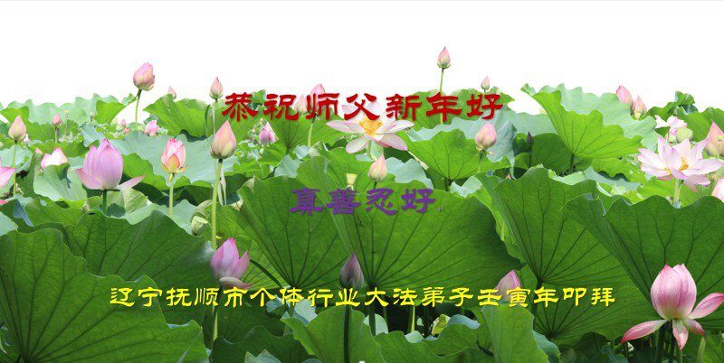 中國大陸17個行業的法輪功學員恭祝李洪志大師新年好(33條)