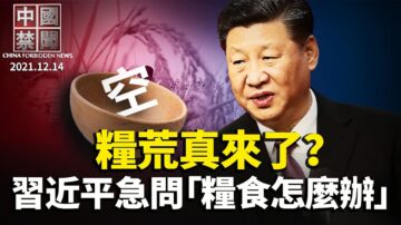 【中国禁闻】12月14日完整版