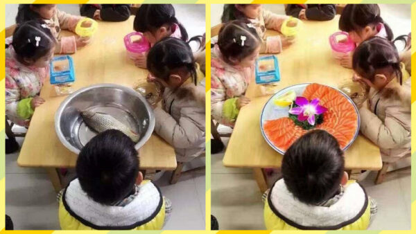 幼兒園讓帶多肉植物 山東3歲童拎豬肉上學笑翻網友