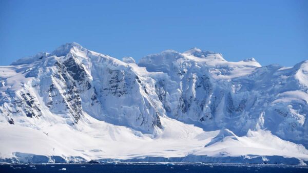 科學家意外發現：南極冰架下竟有這麼多物種