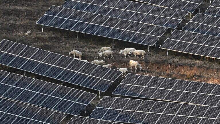 北京冬奧打綠能牌 農民土地遭強徵 維權者被非法監禁