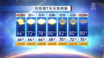 休斯顿一周天气预报