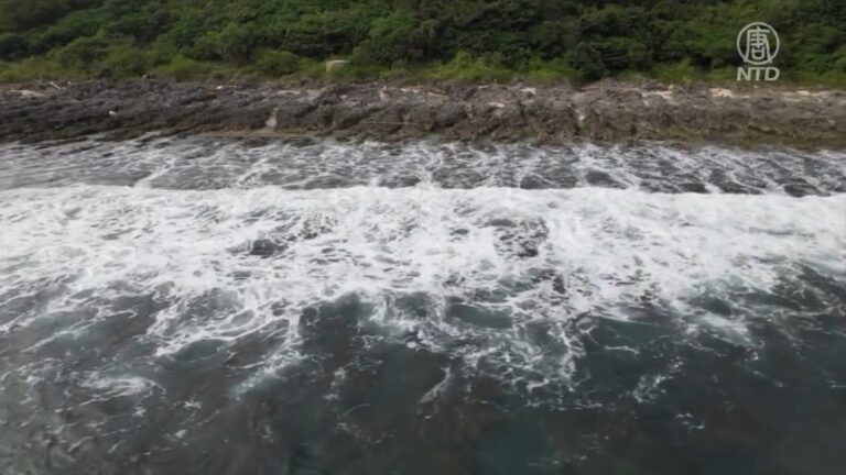 小琉球嶼壯觀厚石裙礁 探尋海龜身影