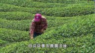 【廣告】美麗心台灣