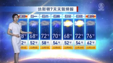 休斯顿一周天气预报