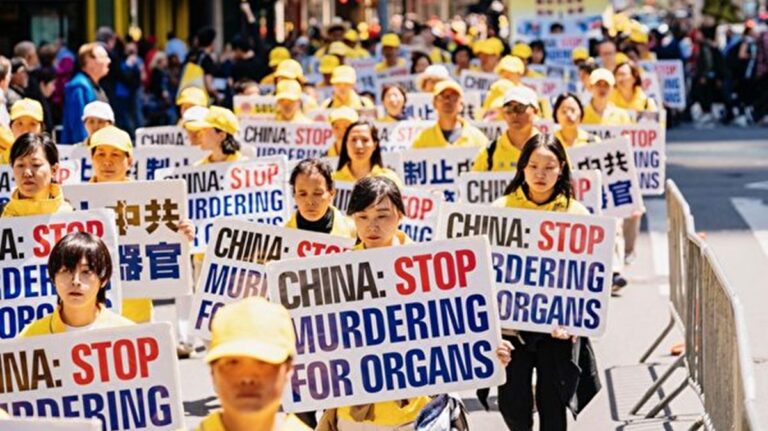 陳思敏：中國器官移植不僅僅是費用公開透明的問題